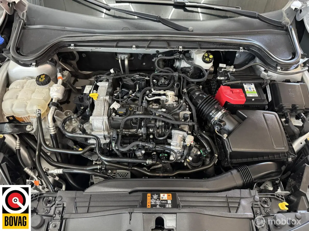 1.0 EcoBoost Hybrid ST Line