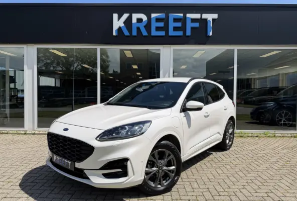 2.5 PHEV ST-Line X Parelmoer | Winterpakket