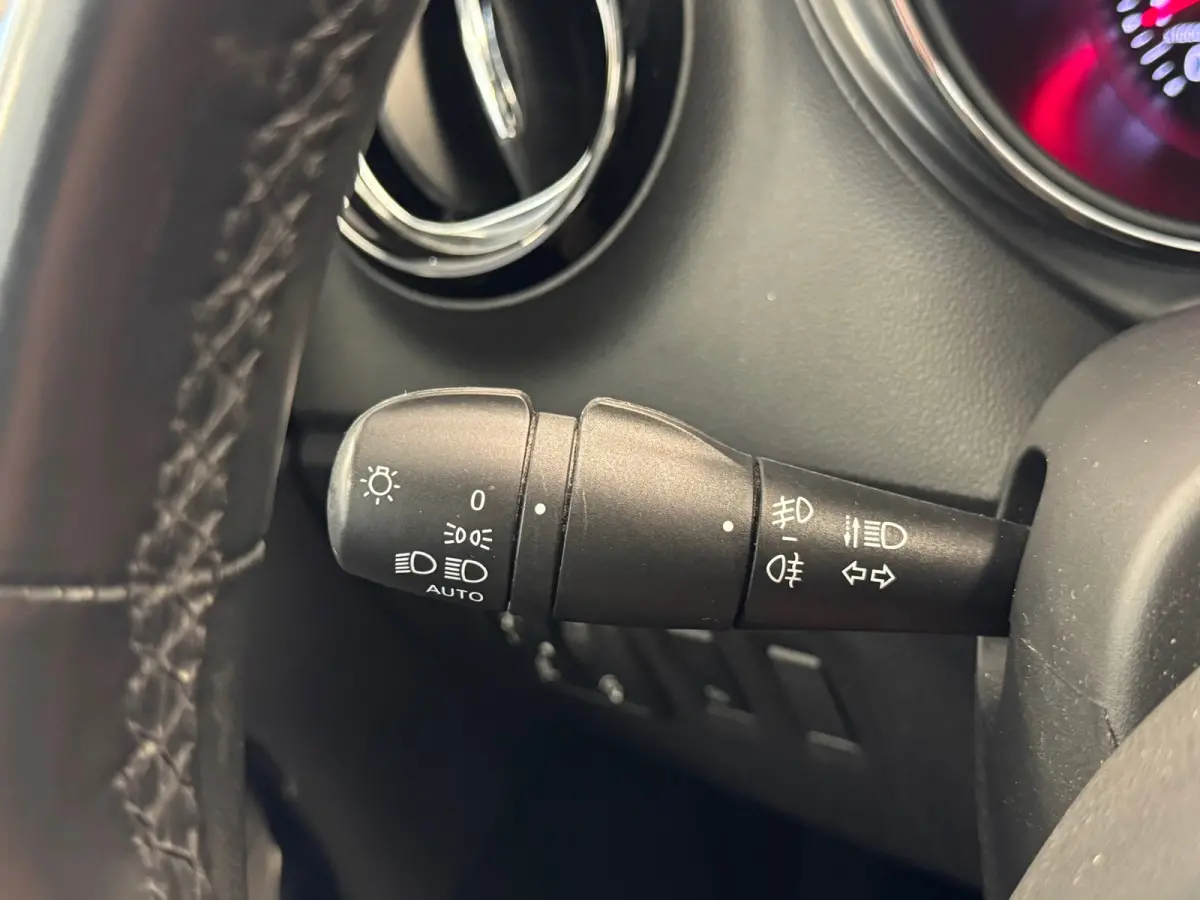 0.9 TCe Dynamique Trekhaak Camera Navi Mooi! Nieuwe APK