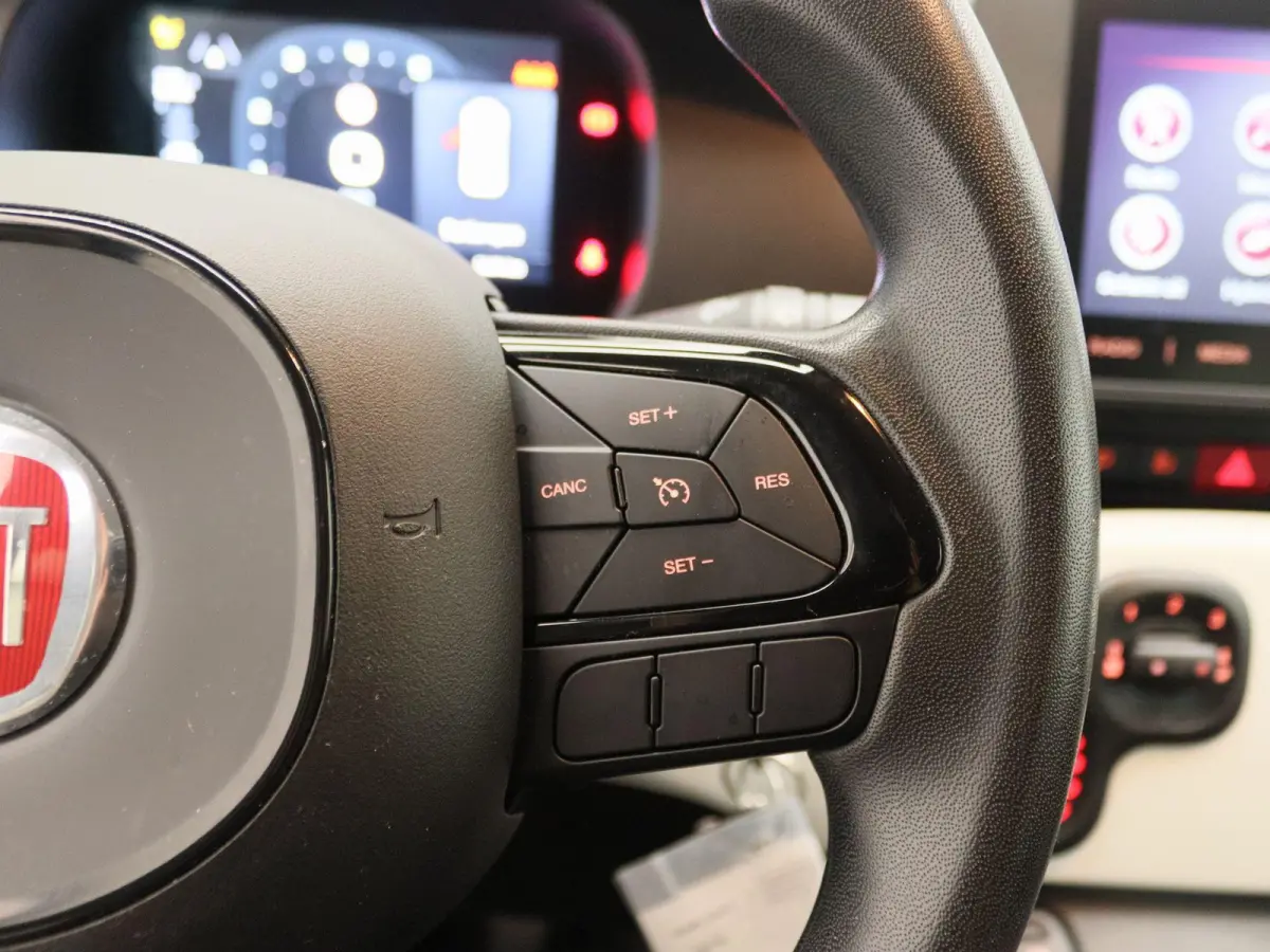 1.0 Hybrid Pandina | Carplay | Digtal Cockpit |