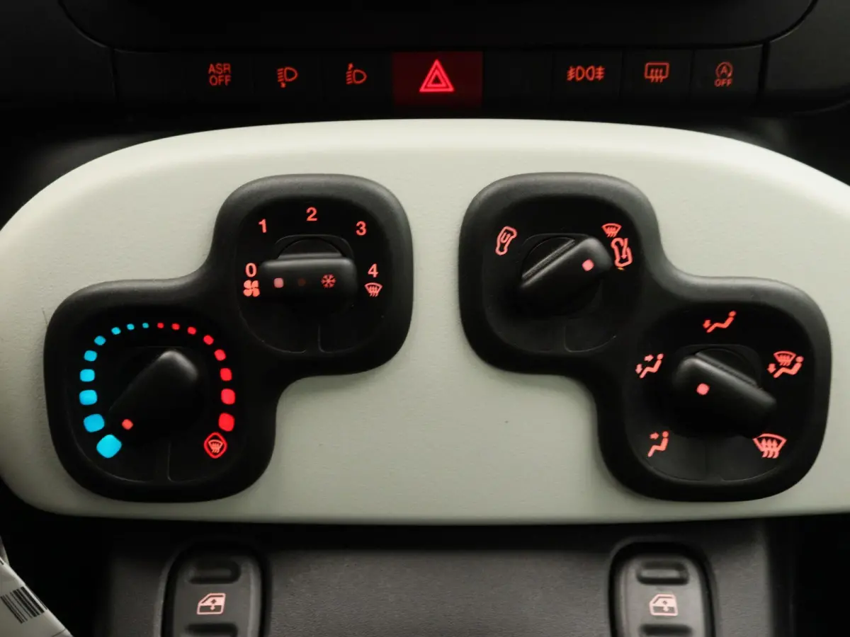 1.0 Hybrid Pandina | Carplay | Digtal Cockpit |