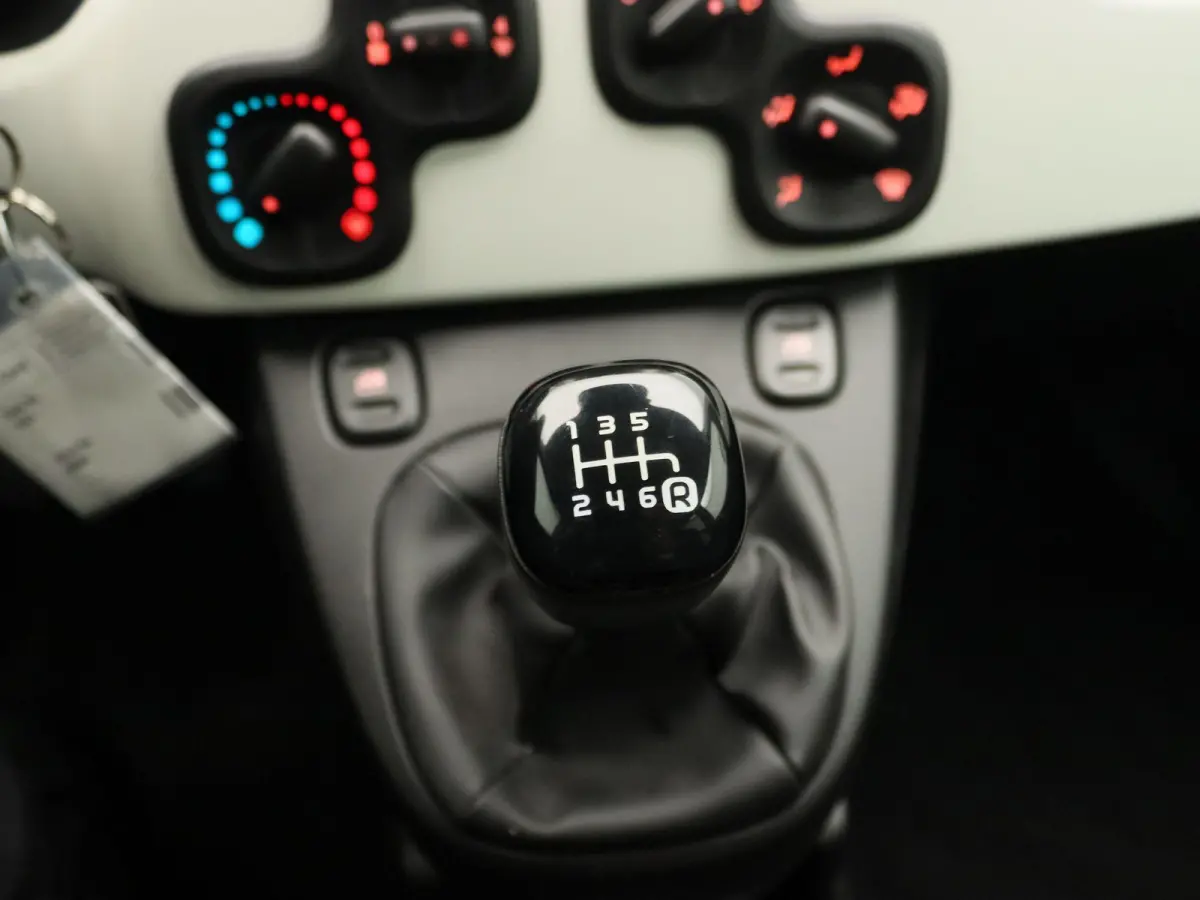 1.0 Hybrid Pandina | Carplay | Digtal Cockpit |
