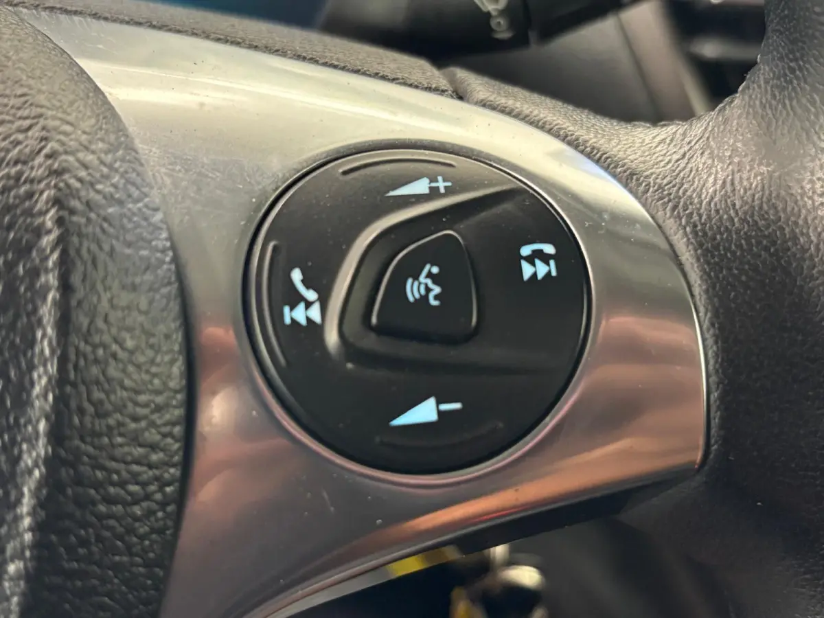 1.5 EcoBlue L2 Trend Automaat RAPTOR EDITION Navigatie Airco Parkeersensoren Cruise Control Camera DAB+