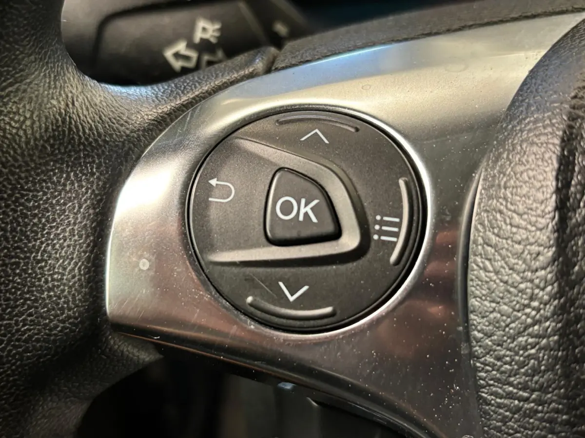 1.5 EcoBlue L2 Trend Automaat RAPTOR EDITION Navigatie Airco Parkeersensoren Cruise Control Camera DAB+