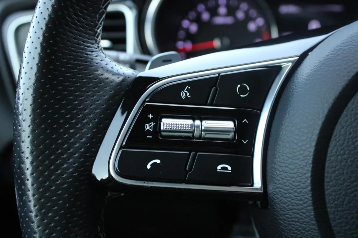 1.5T-GDi MHEV 160PK GT-Line | Panoramadak