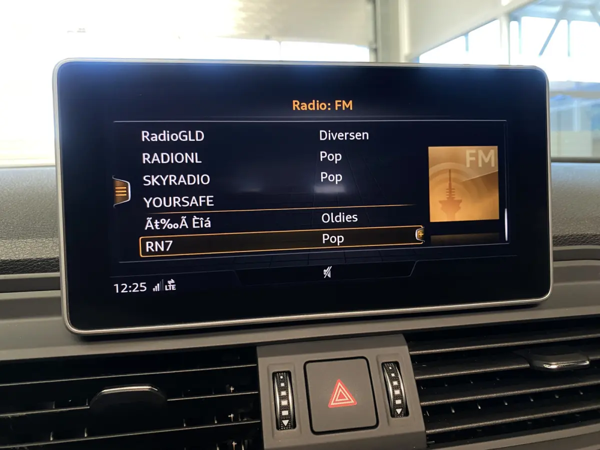 SQ5 3.0 TFSI SQ5 quattro Pro Line Plus Pano dak, B&O Audio, Luchtvering, Carplay