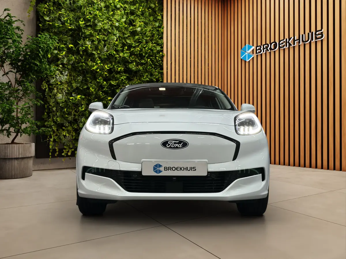 Premium 44 kWh | Achteruitrijcamera | Apple Carplay/Android Auto|telefoonintegratie premium | Cruise control adaptief
