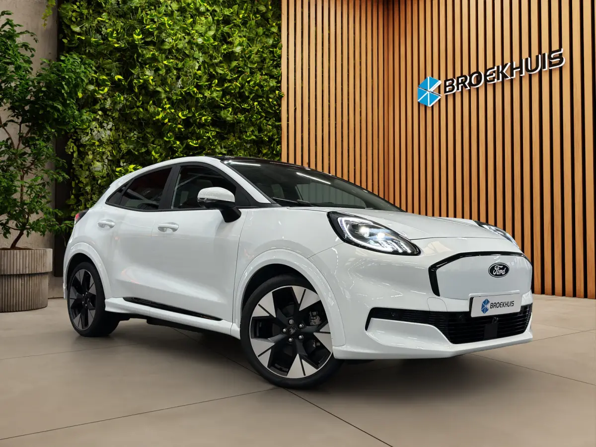 Premium 44 kWh | Achteruitrijcamera | Apple Carplay/Android Auto|telefoonintegratie premium | Cruise control adaptief