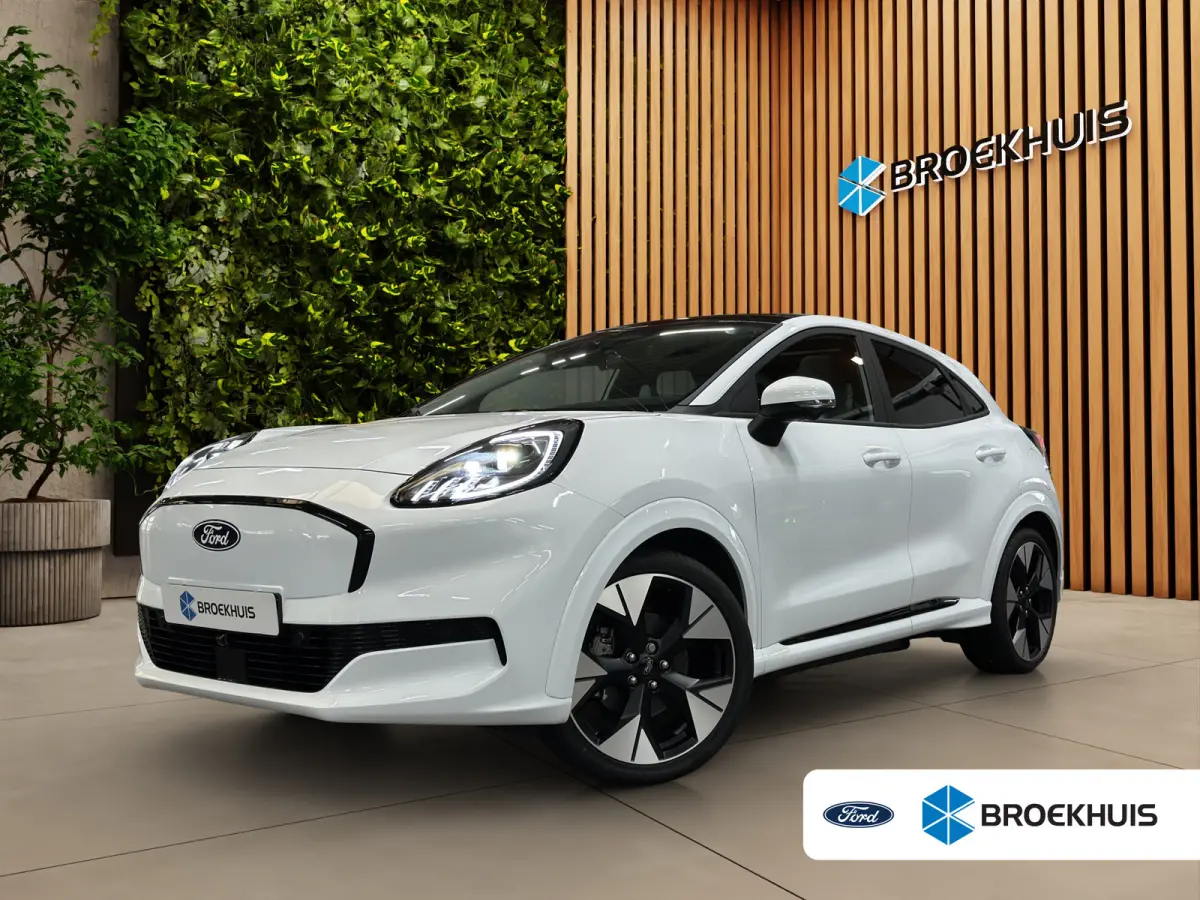 Premium 44 kWh | Achteruitrijcamera | Apple Carplay/Android Auto|telefoonintegratie premium | Cruise control adaptief