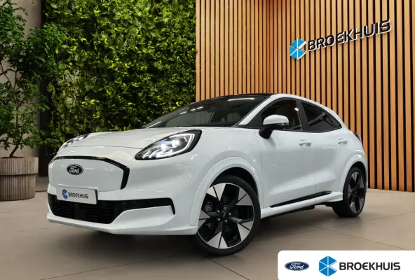 Premium 44 kWh | Achteruitrijcamera | Apple Carplay/Android Auto|telefoonintegratie premium | Cruise control adaptief