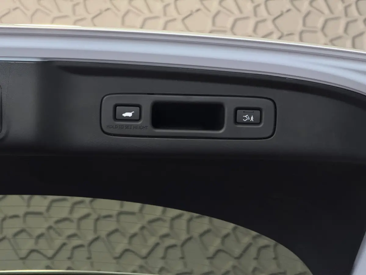 2.0 e:HEV 184 PK STOELVERW CAMERA CARPLAY SPORT ELEK.STOEL PDC