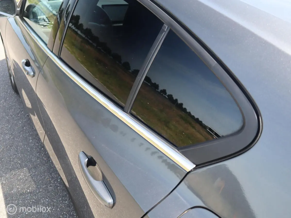 Hatchback EcoBoost Hybrid MHEV 125 PK H6 Groot Groot XXL Navi|Chroom|DonkerGlas|Pdc V+A|Clima