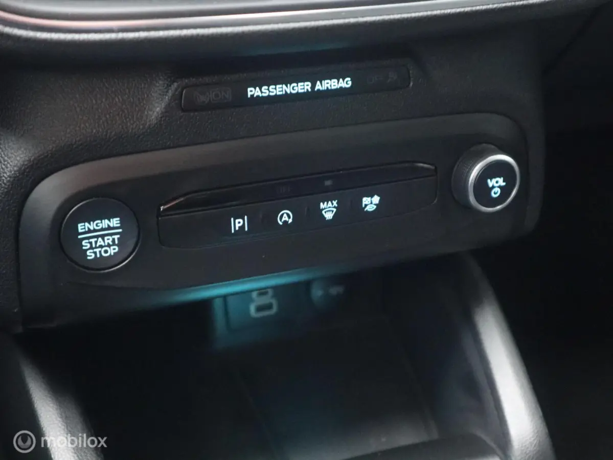Hatchback EcoBoost Hybrid MHEV 125 PK H6 Groot Groot XXL Navi|Chroom|DonkerGlas|Pdc V+A|Clima