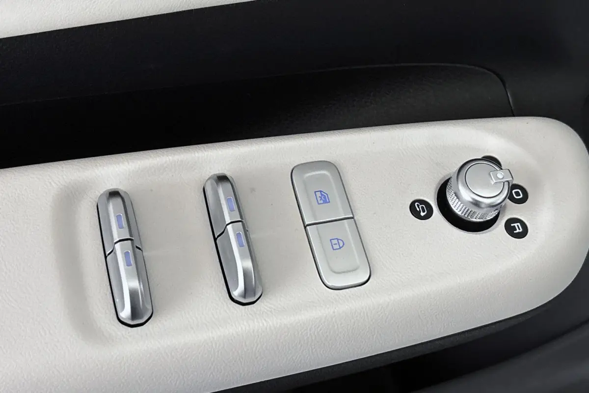 Premium Edition 42 kWh 10X Voorraad / Private lease vanaf € 399,00