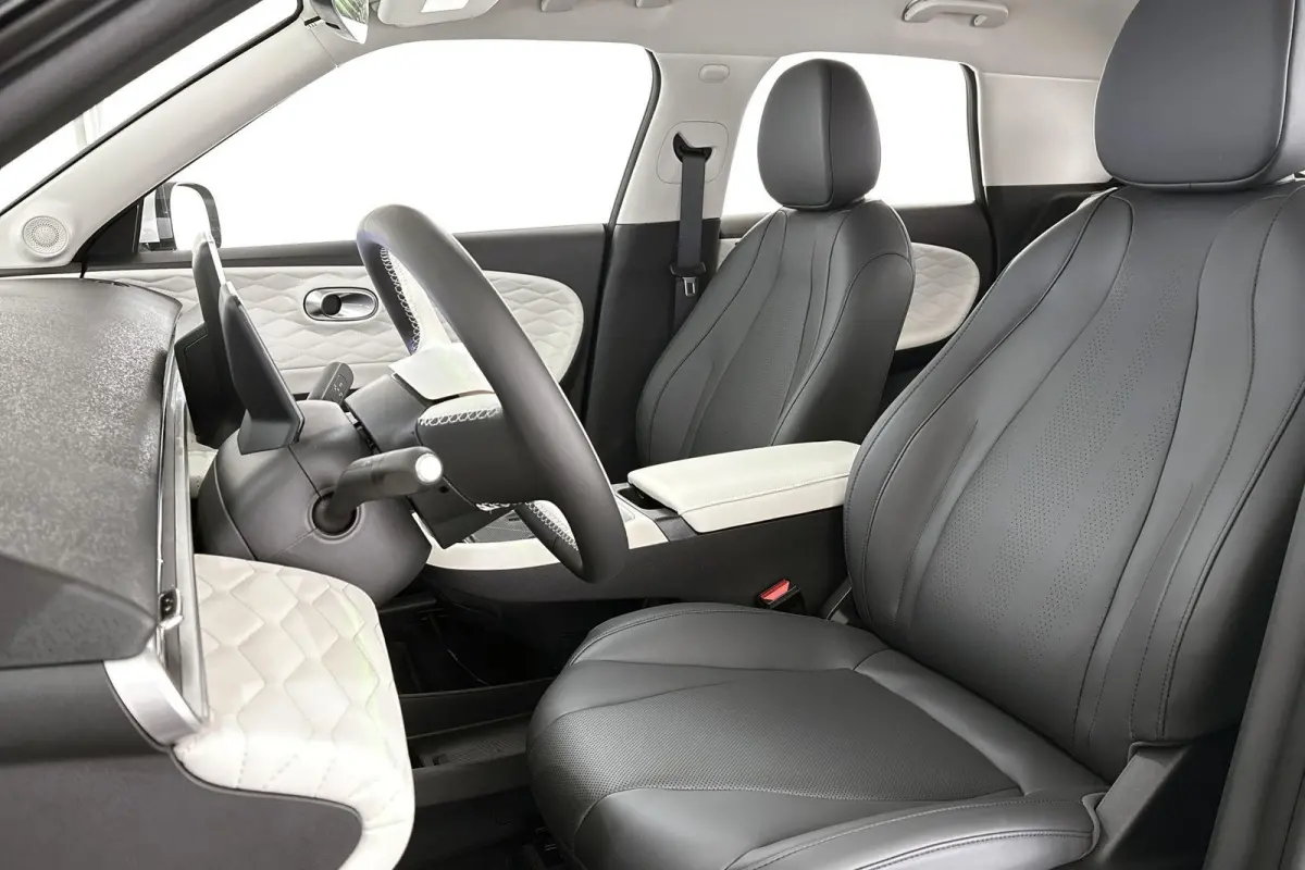 Premium Edition 42 kWh 10X Voorraad / Private lease vanaf € 399,00