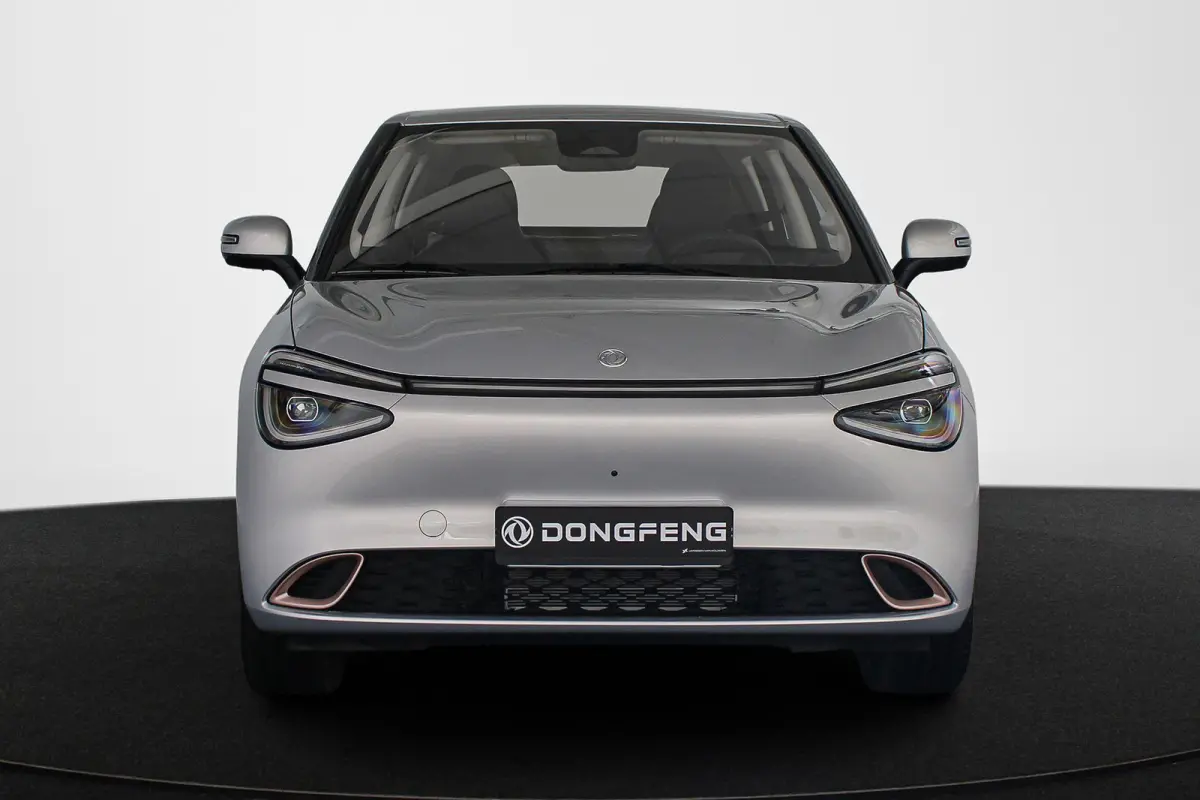 Premium Edition 42 kWh 10X Voorraad / Private lease vanaf € 399,00