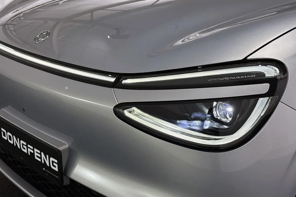 Premium Edition 42 kWh 10X Voorraad / Private lease vanaf € 399,00