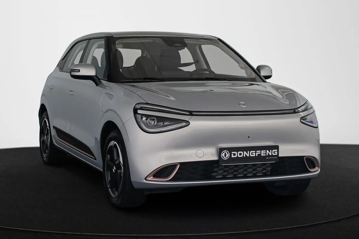 Premium Edition 42 kWh 10X Voorraad / Private lease vanaf € 399,00
