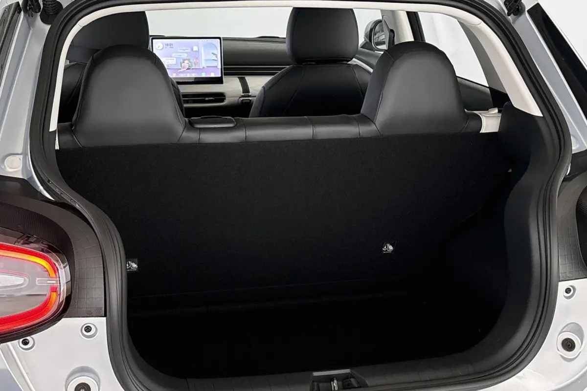 Premium Edition 42 kWh 10X Voorraad / Private lease vanaf € 399,00