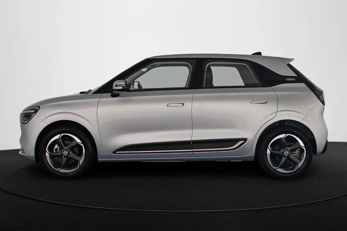 Premium Edition 42 kWh 10X Voorraad / Private lease vanaf € 399,00