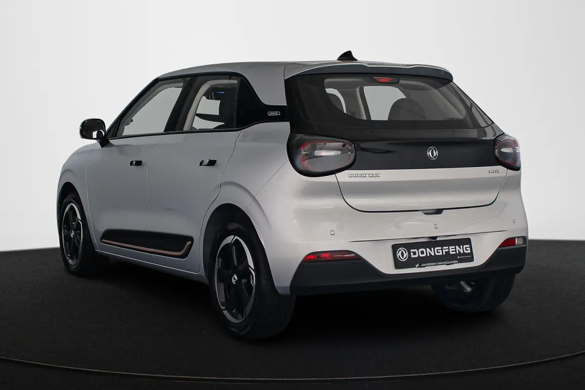 Premium Edition 42 kWh 10X Voorraad / Private lease vanaf € 399,00