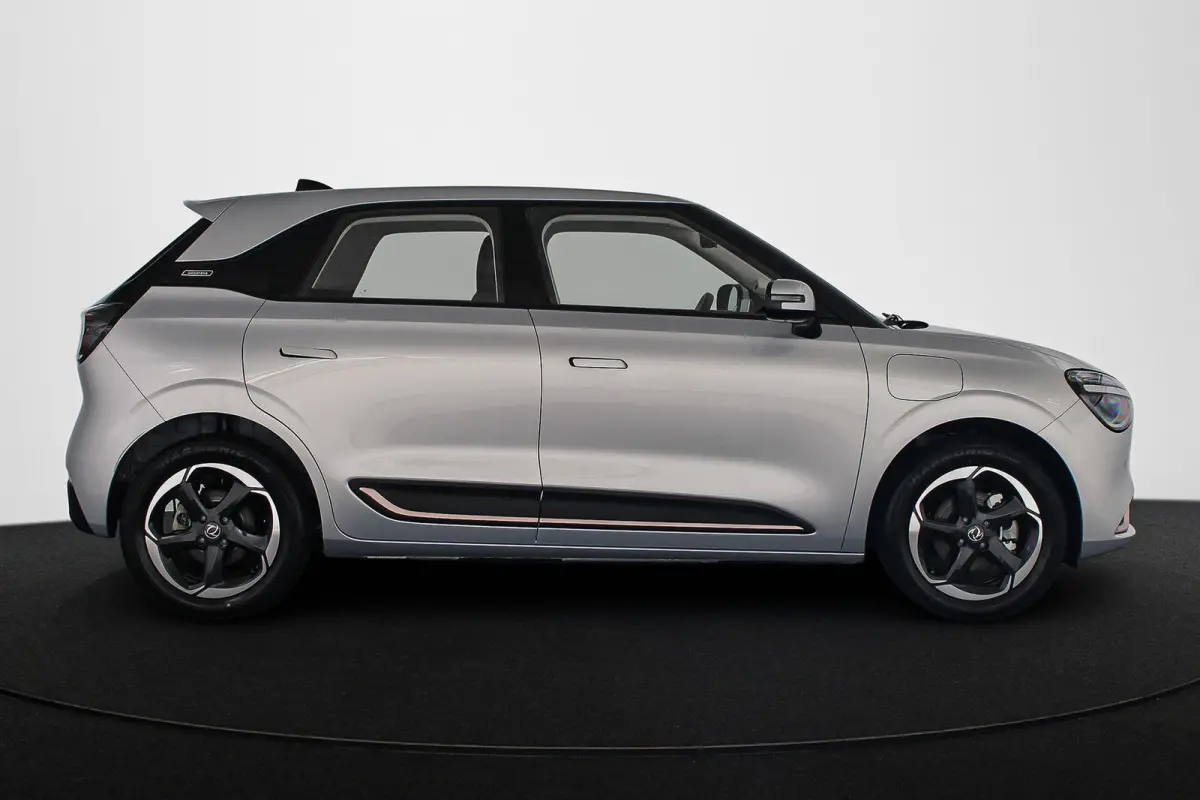 Premium Edition 42 kWh 10X Voorraad / Private lease vanaf € 399,00