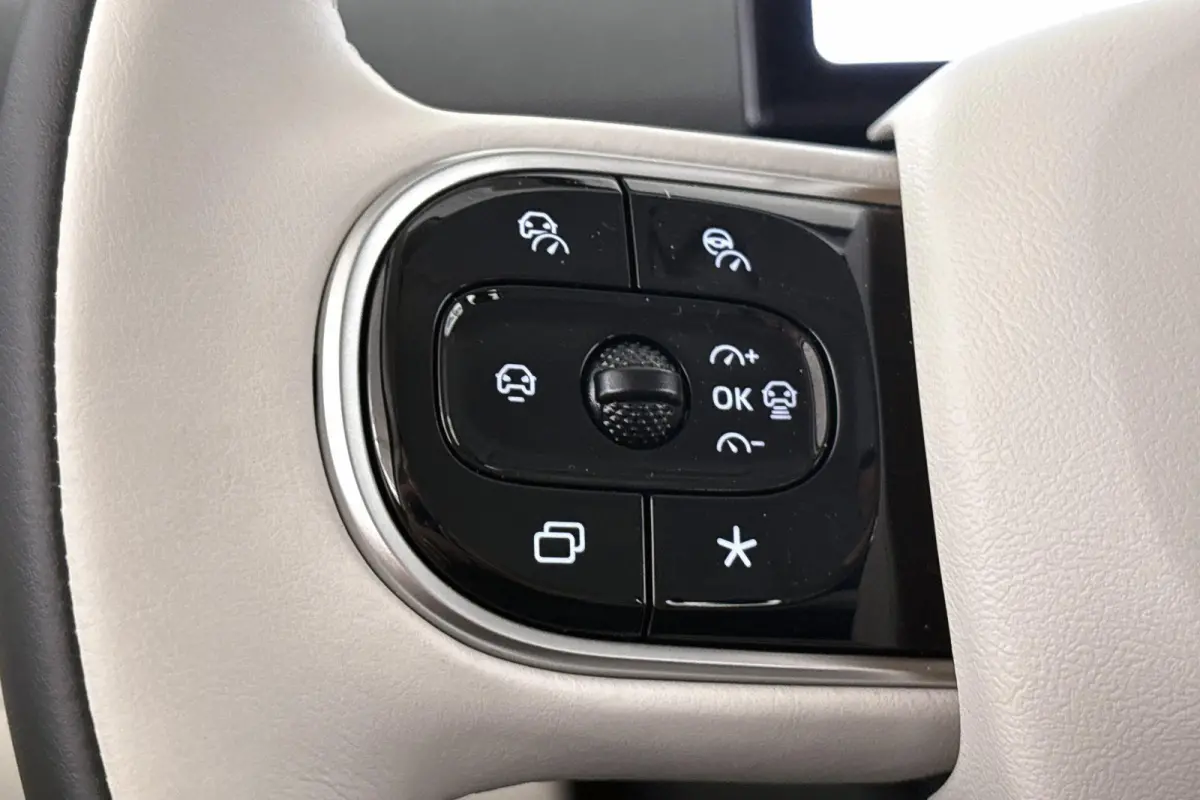 Premium Edition 42 kWh 10X Voorraad / Private lease vanaf € 399,00