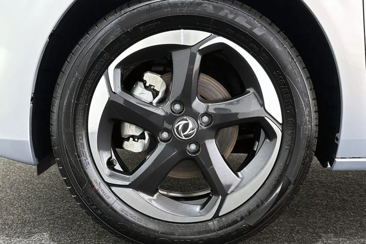 Premium Edition 42 kWh 10X Voorraad / Private lease vanaf € 399,00