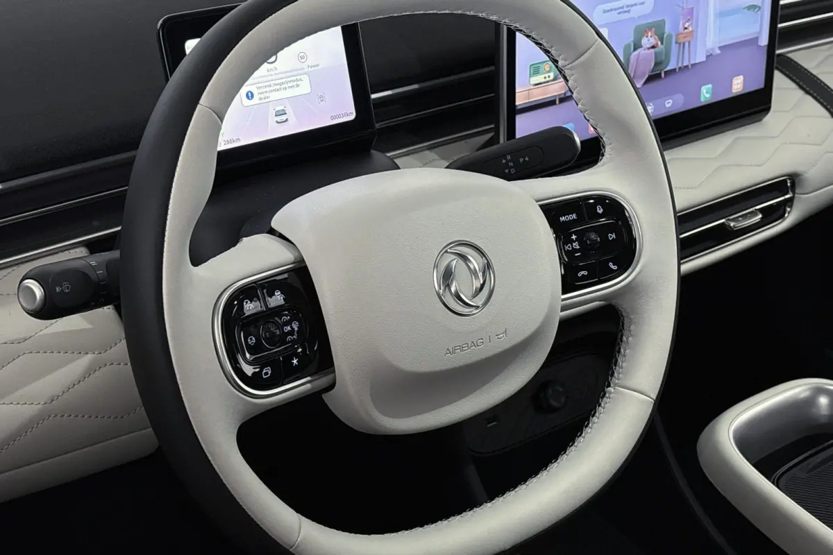 Premium Edition 42 kWh 10X Voorraad / Private lease vanaf € 399,00