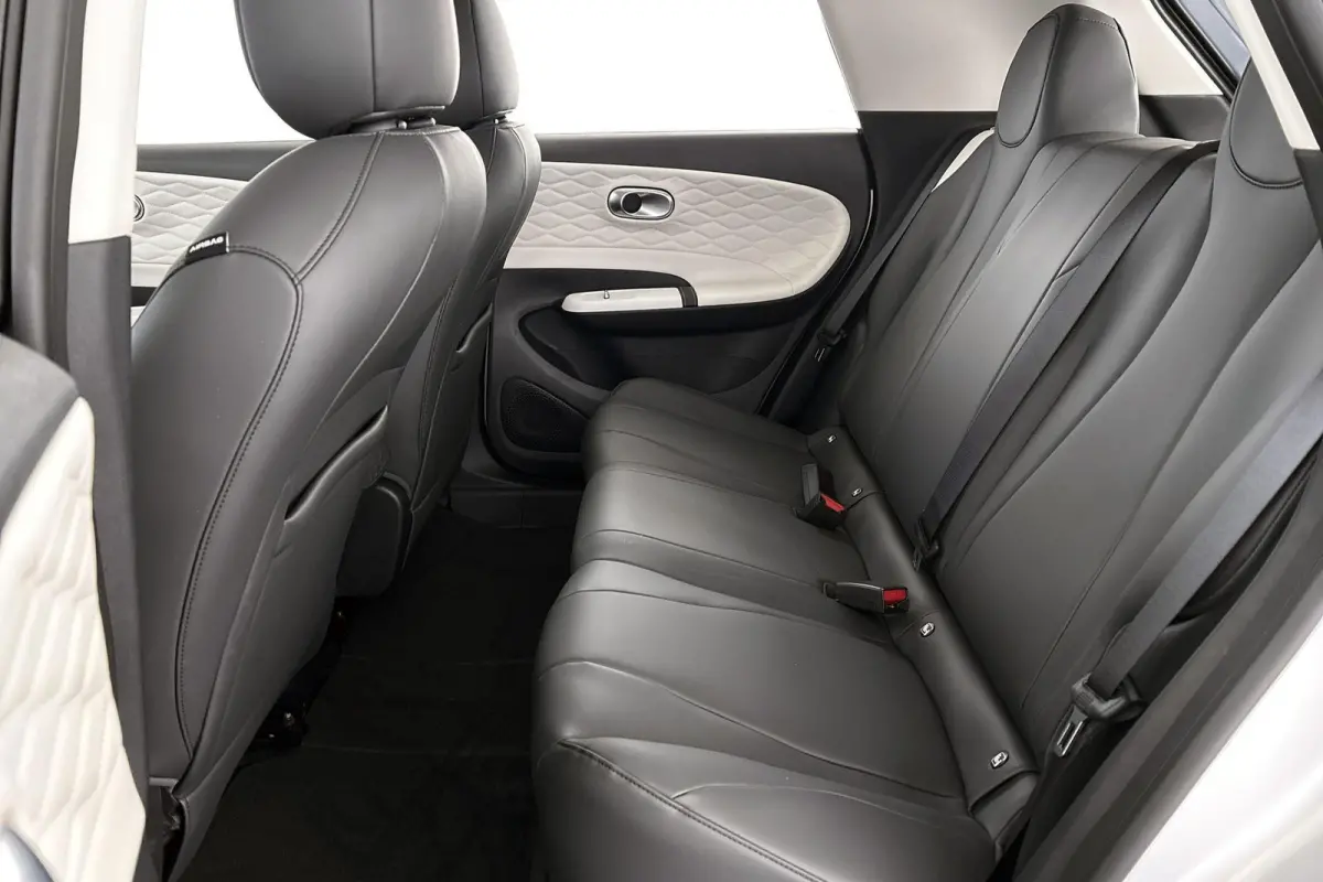 Premium Edition 42 kWh 10X Voorraad / Private lease vanaf € 399,00
