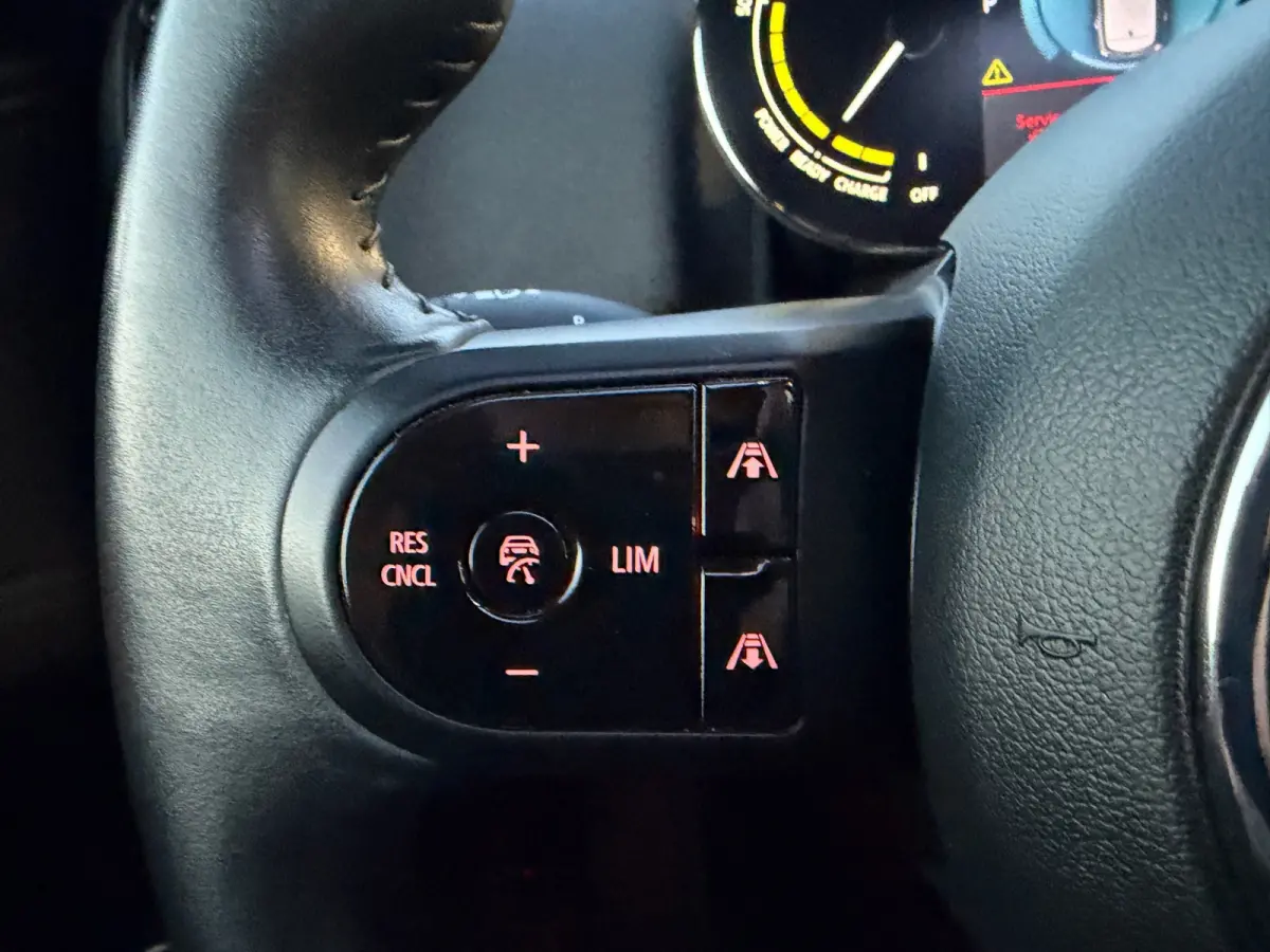 Mini 2.0 Cooper ALL4 Chili Leder | Hud | Panorama