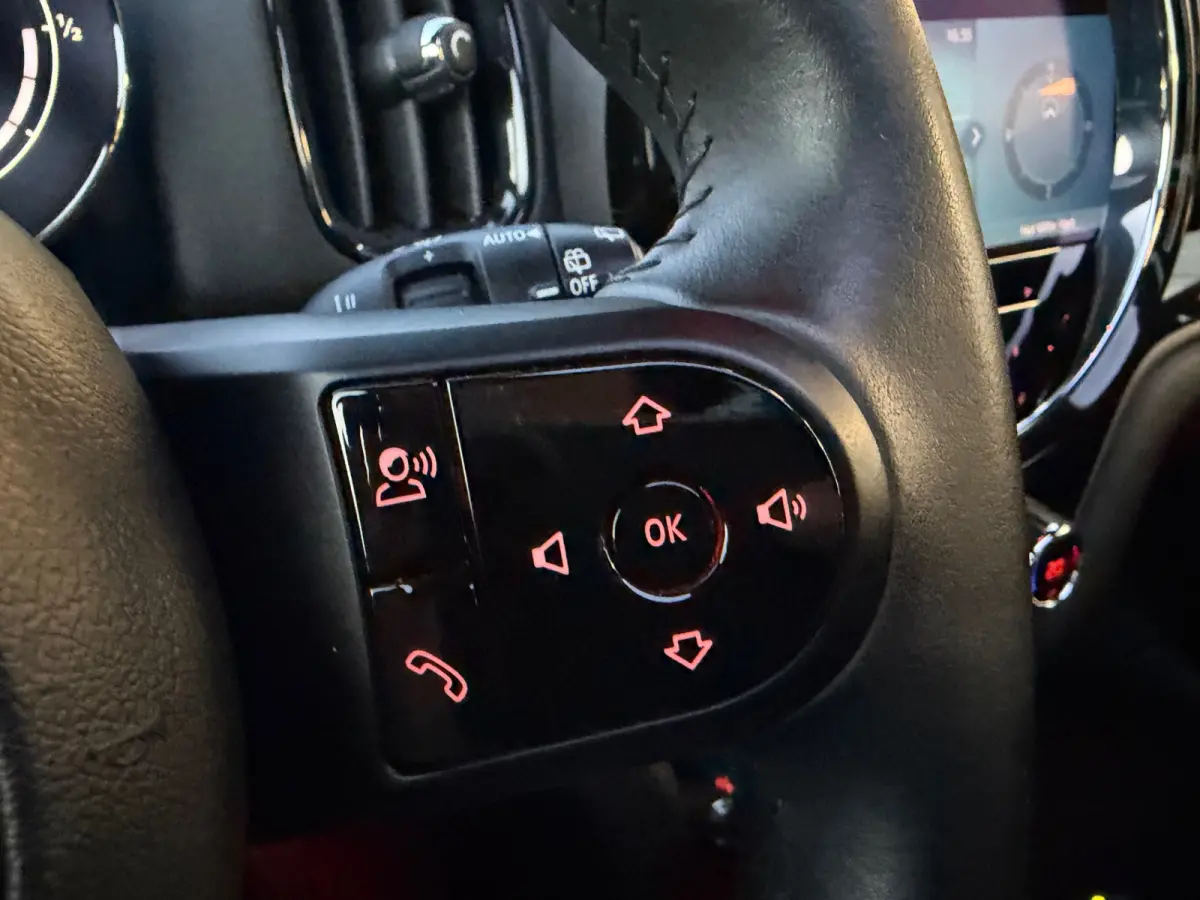 Mini 2.0 Cooper ALL4 Chili Leder | Hud | Panorama