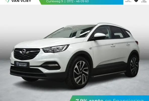 1.2 Turbo Business + 130 PK | NAVIGATIE & CARPLAY | ACHTERUITRIJCAMERA MET SENSOREN | E.C.C. | SIDE STEPS | 19" L.M.V. MET ALL SEASON BANDEN |