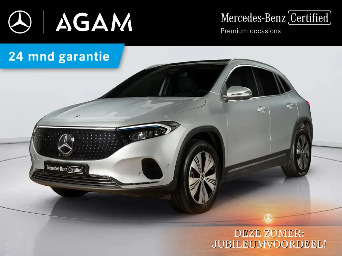 350 4MATIC Luxury Line 67 kWh Panorama dak