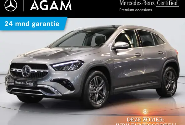 250 e Luxury Line Panorama dak
