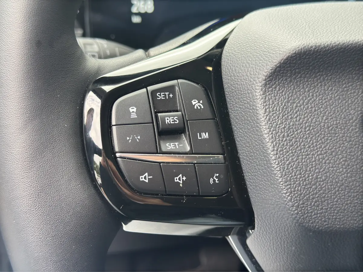 44kWh 168pk | Driver assistance- & Winter Pack |
