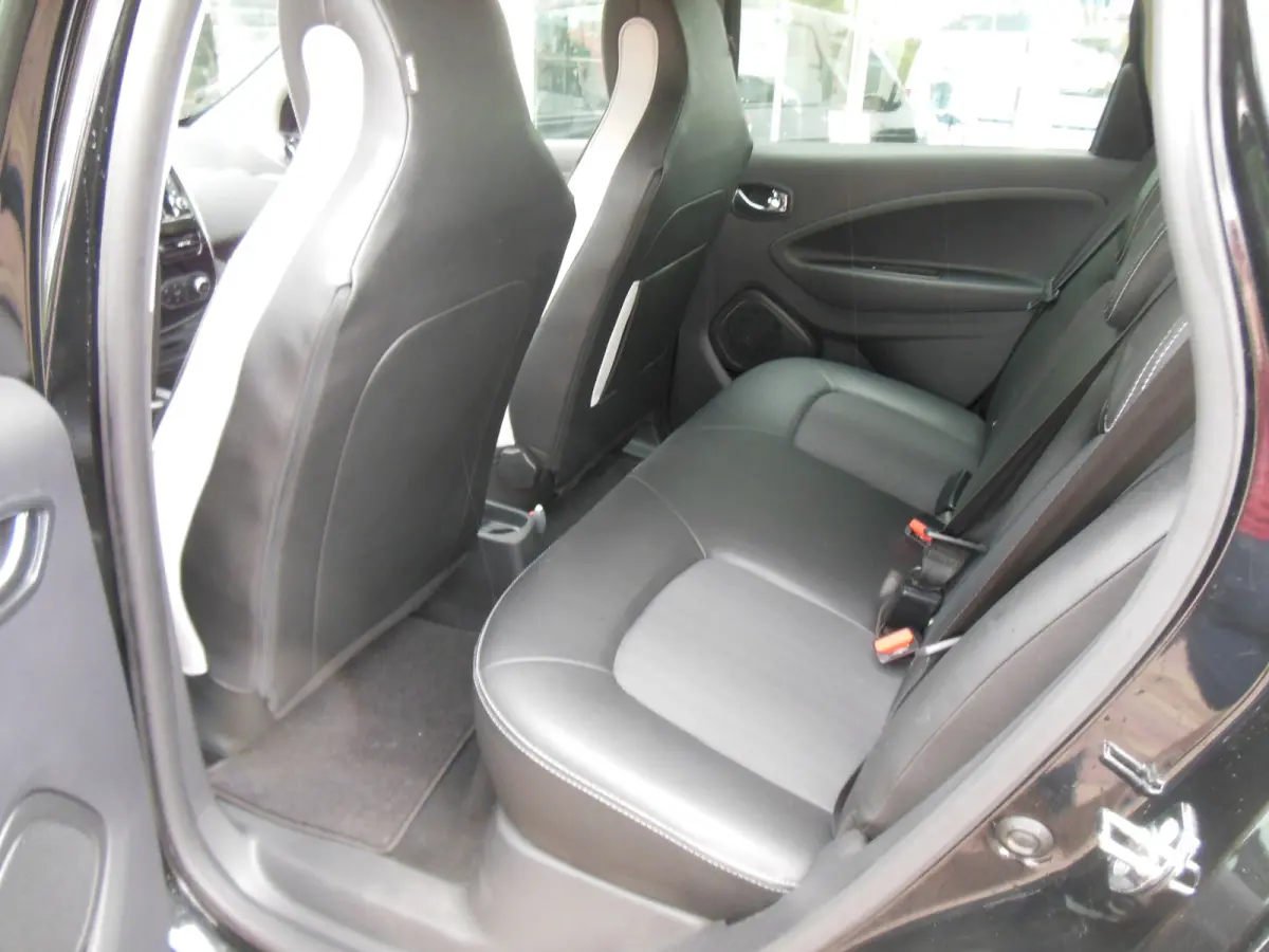 R110 Iconic 41 kWh incl. btw en accu,s 12 maanden bovag garantie SOH 90%