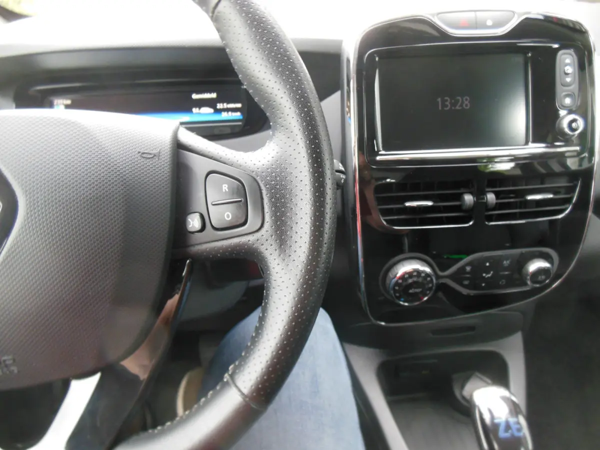 R110 Iconic 41 kWh incl. btw en accu,s 12 maanden bovag garantie SOH 90%