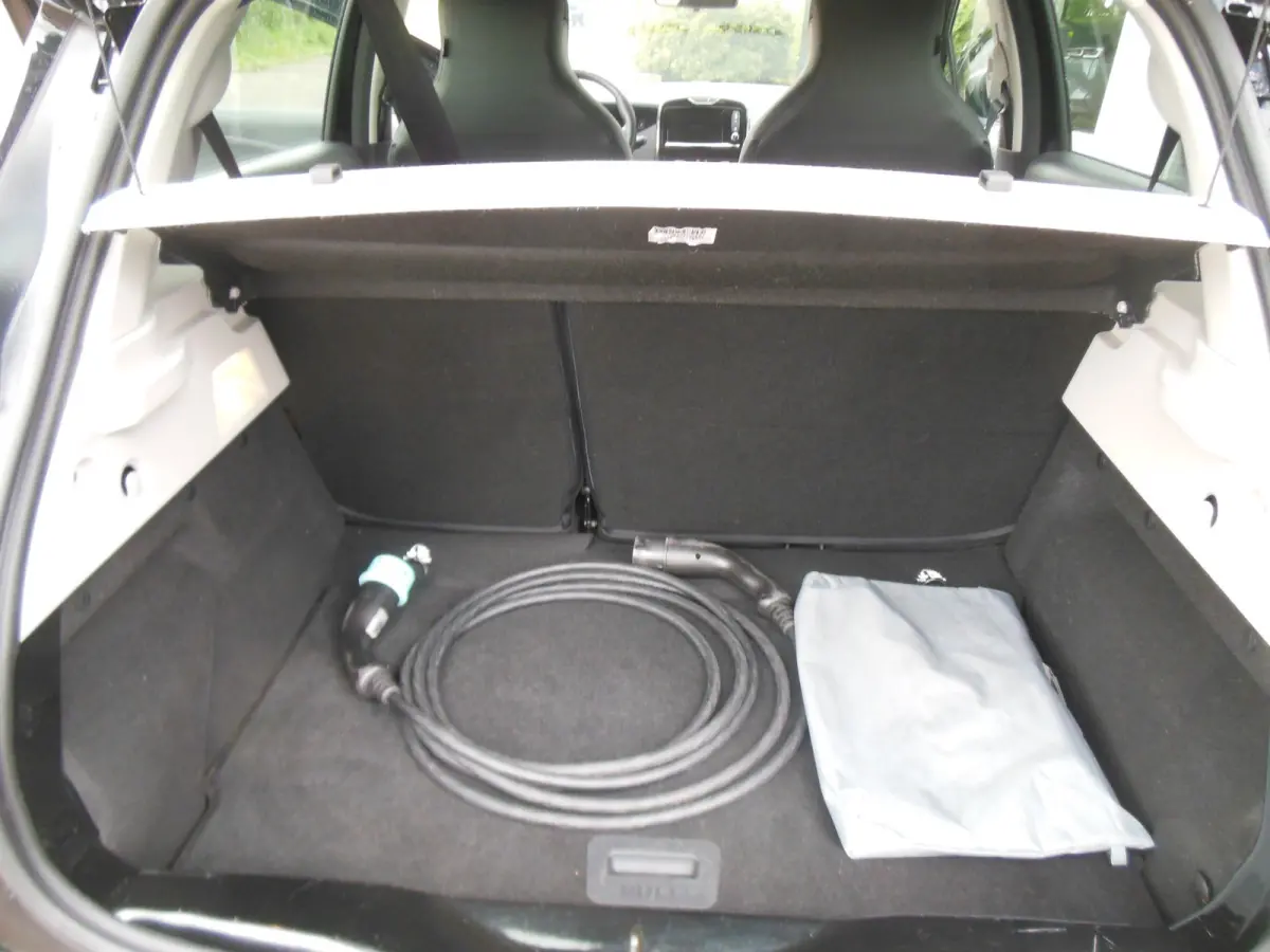 R110 Iconic 41 kWh incl. btw en accu,s 12 maanden bovag garantie SOH 90%