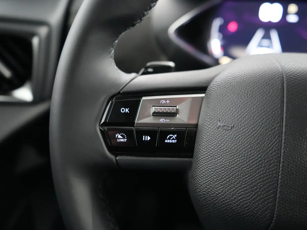 Performance Line | 17" lichtmetalen velgen DUBLIN | DS Iris Navigatie System | Draadloze Apple CarPlay™, Android Auto®