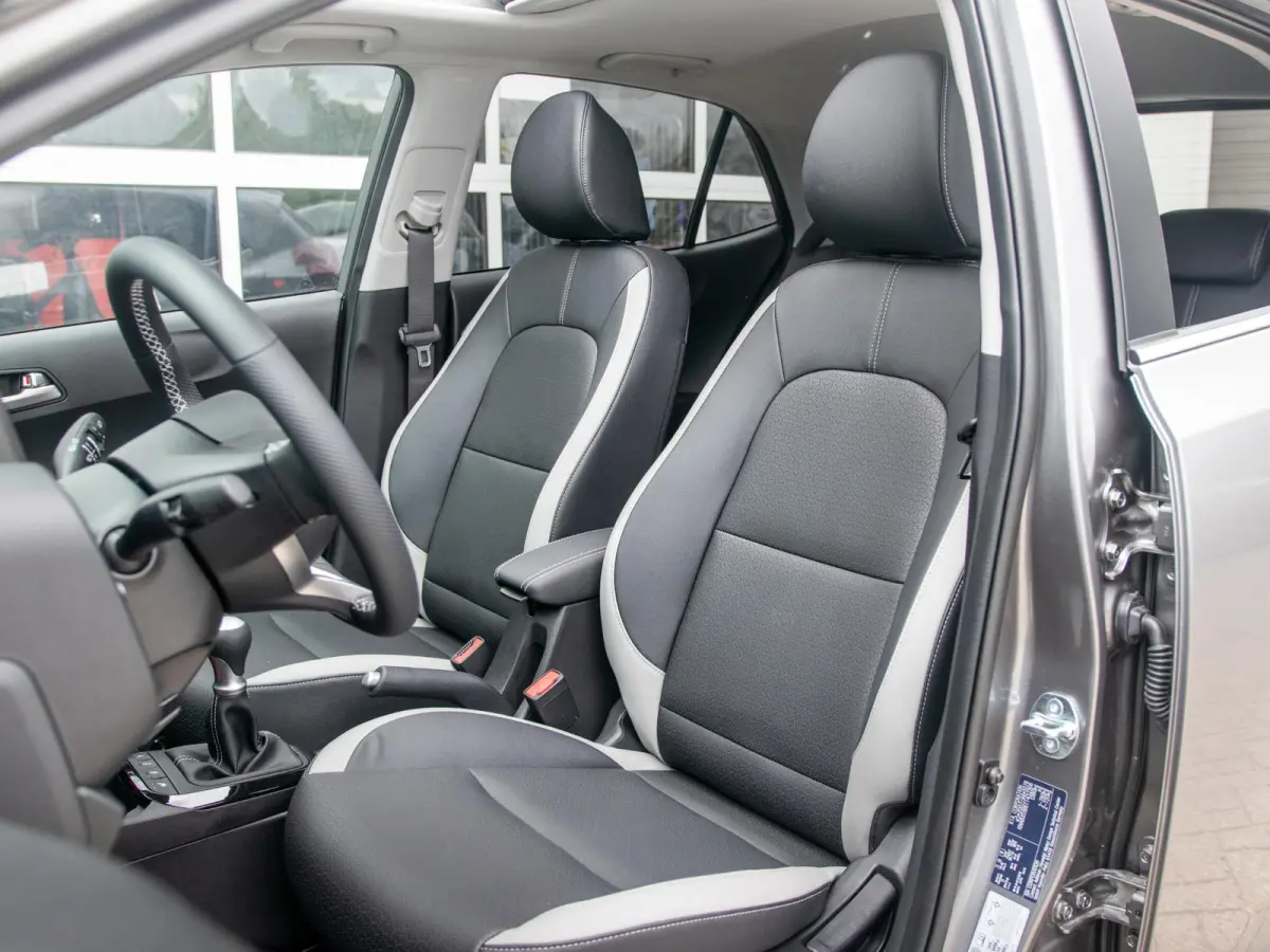 1.0 DPI GT-Line Leder | Stoel & stuurverwarming | Climate & Cruise control