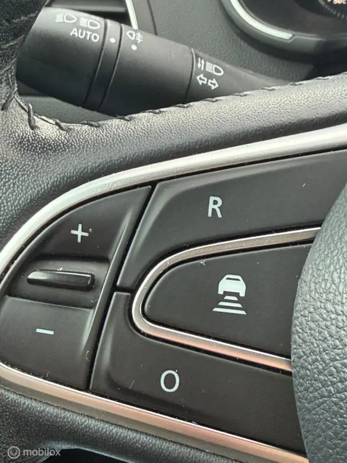 1.3 TCe GT-Line 40pk 2019 camera sport
