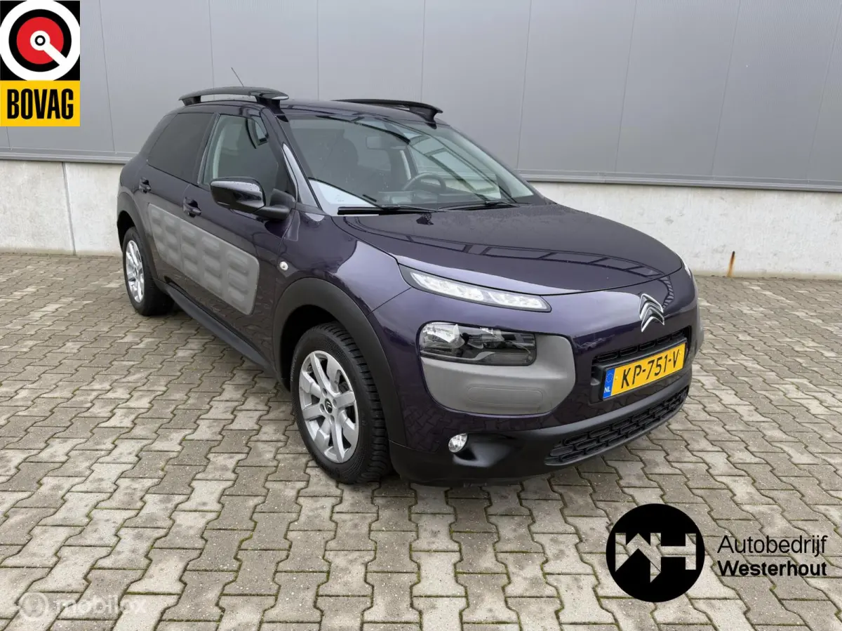 1.2 PureTech Shine NAP Dealeronderhouden!