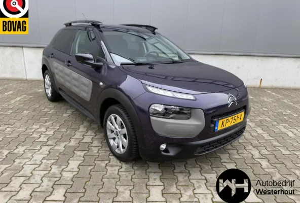 1.2 PureTech Shine NAP Dealeronderhouden!