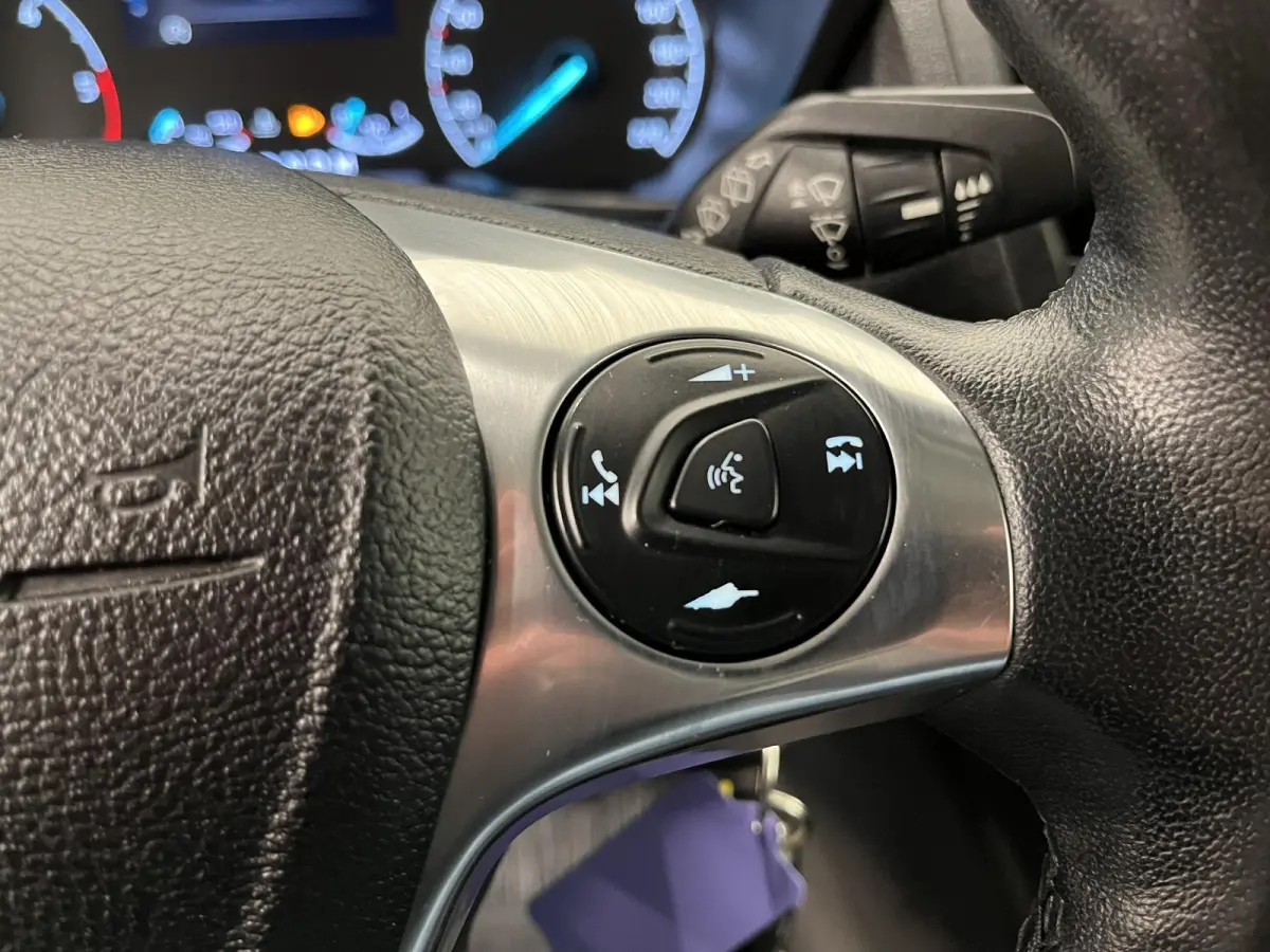 1.5 EcoBlue L2 Trend Automaat Airco Radio Cruise Control Parkeersensoren Achterklep Verwarmbare voorstoelen