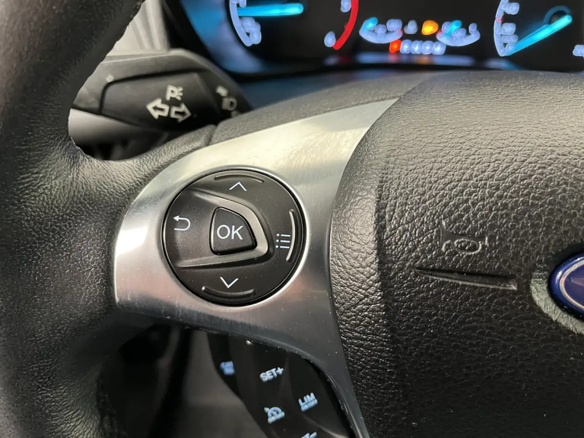 1.5 EcoBlue L2 Trend Automaat Airco Radio Cruise Control Parkeersensoren Achterklep Verwarmbare voorstoelen