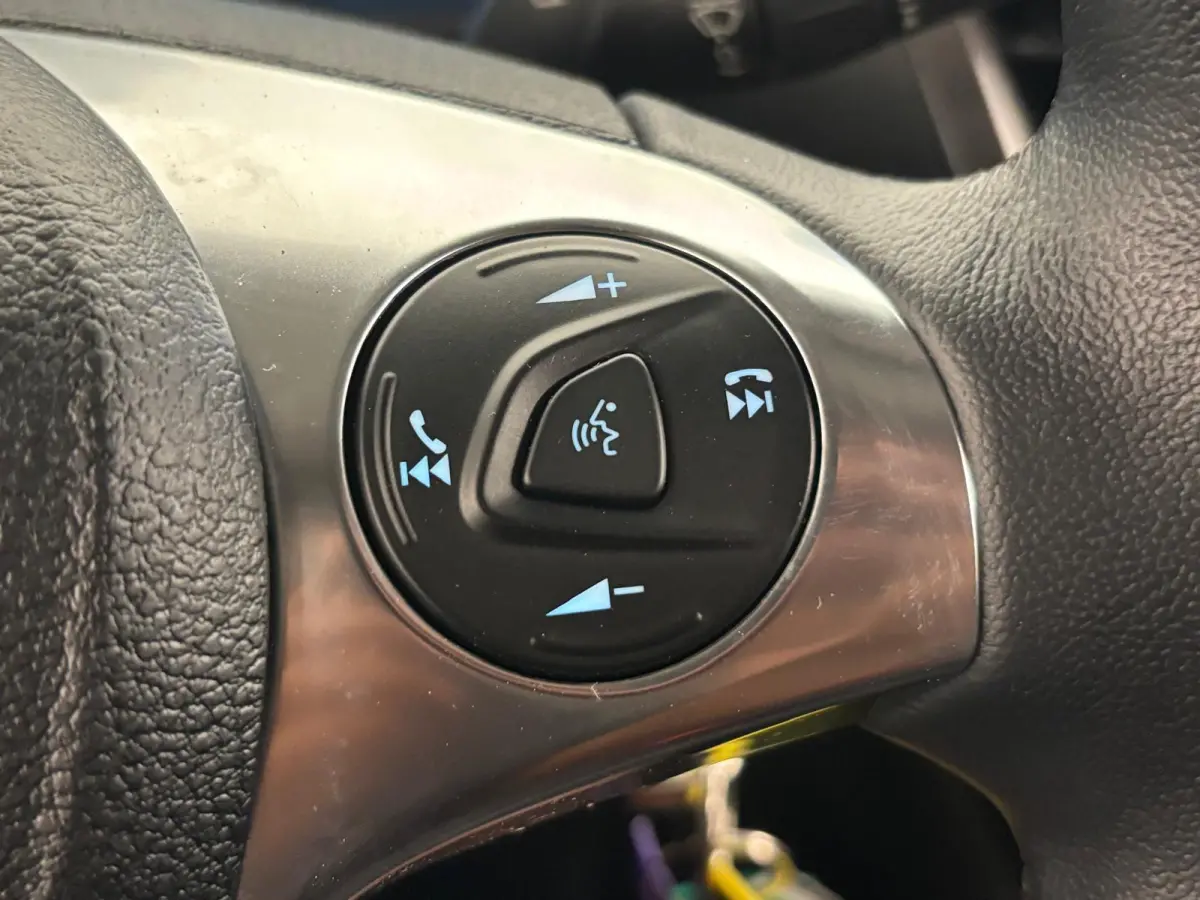1.5 EcoBlue Automaat L2 Trend RAPTOR EDITION Navigatie Airco Parkeersensoren Cruise Control 3Zits Camera DAB+