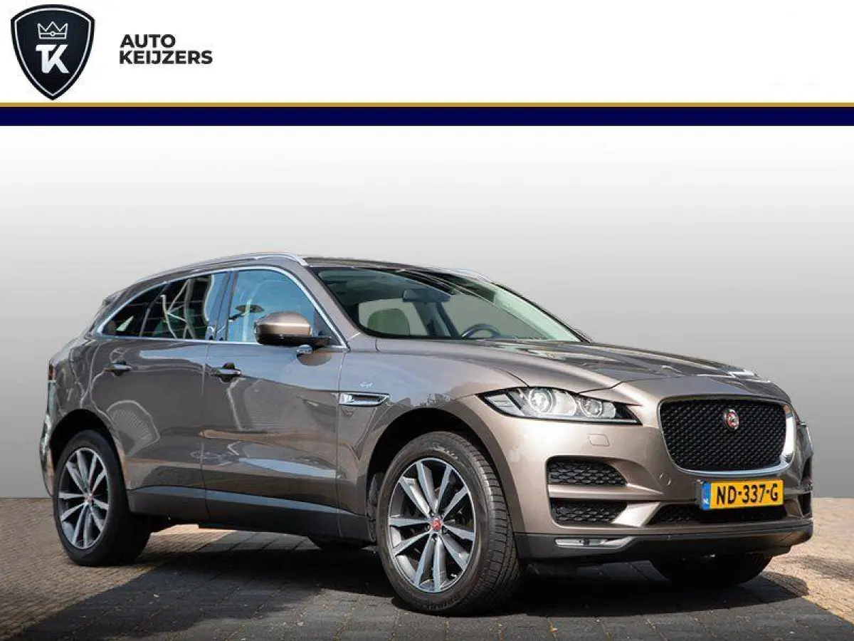 2.0 Portfolio Pano AWD 20d Navi Leer Meridiam Keyless Stoelverwarming Automaat