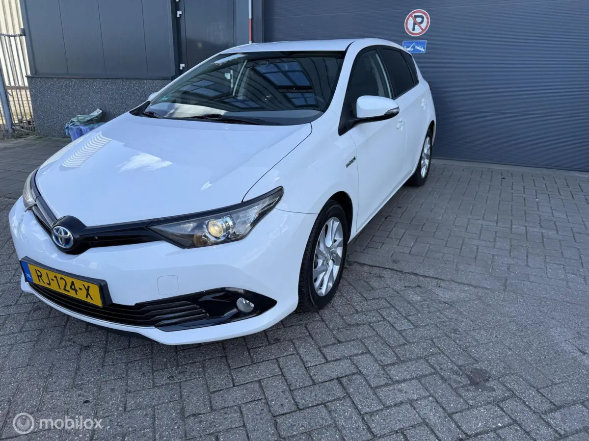1.8 Hybrid Dynamic Go