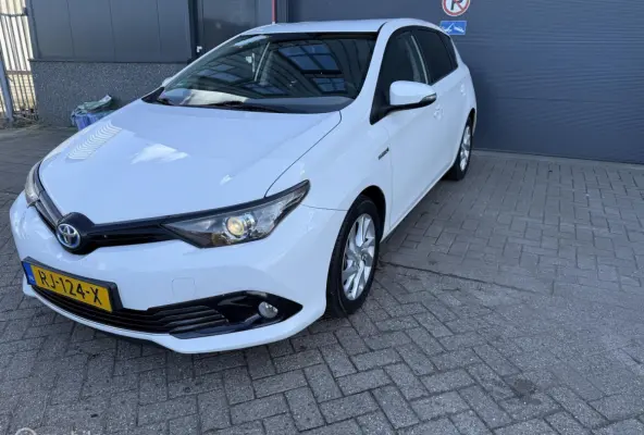 1.8 Hybrid Dynamic Go